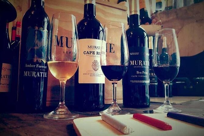 Cape Town Giraffe House, Cheetah Encounter and Wine Tasting Tour - Who will get the most from this experience