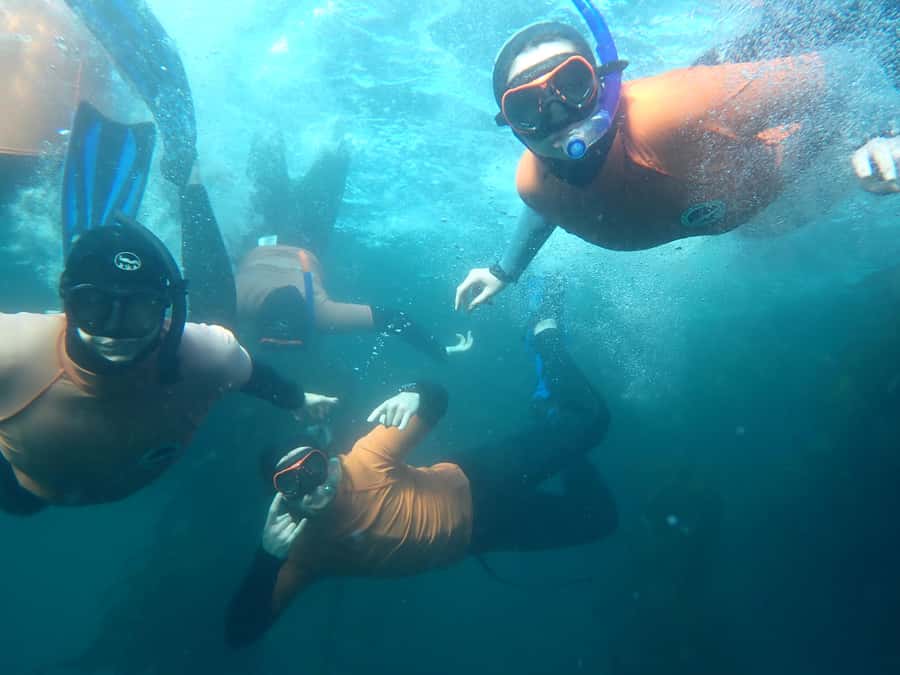 Cape Town: Great African Sea Forest Guided Snorkel - Entering the Great African Sea Forest
