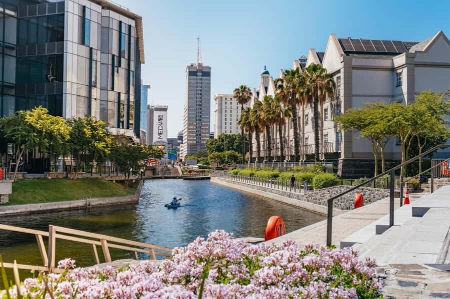 Cape Town: Guided Bike Tour - Company Gardens and St. George’s Mall