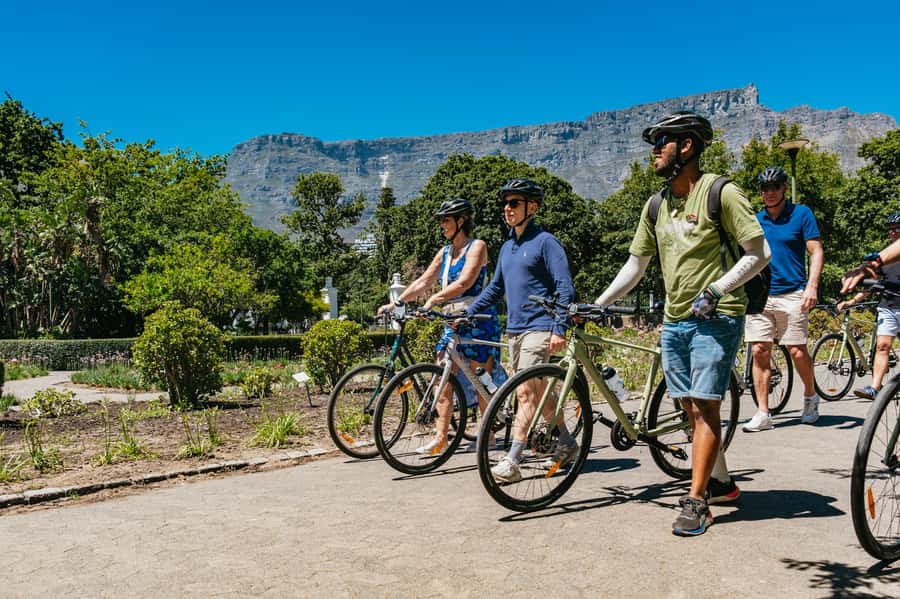 Cape Town: Guided Bike Tour - Is $100 a fair price for three hours?