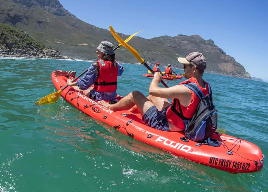 Cape Town: Guided Kayak Tour - Key points to know before paddling out