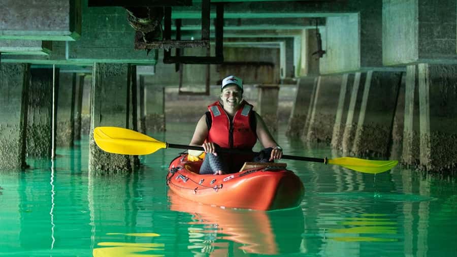 Cape Town: Guided Kayak Tour - Starting at the Animal Ocean office