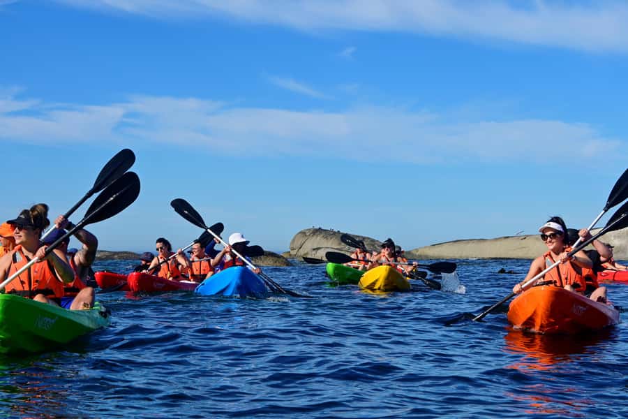 Cape Town: Guided Kayak Tour of Clifton Beaches & The Coast - Key points to know before you book