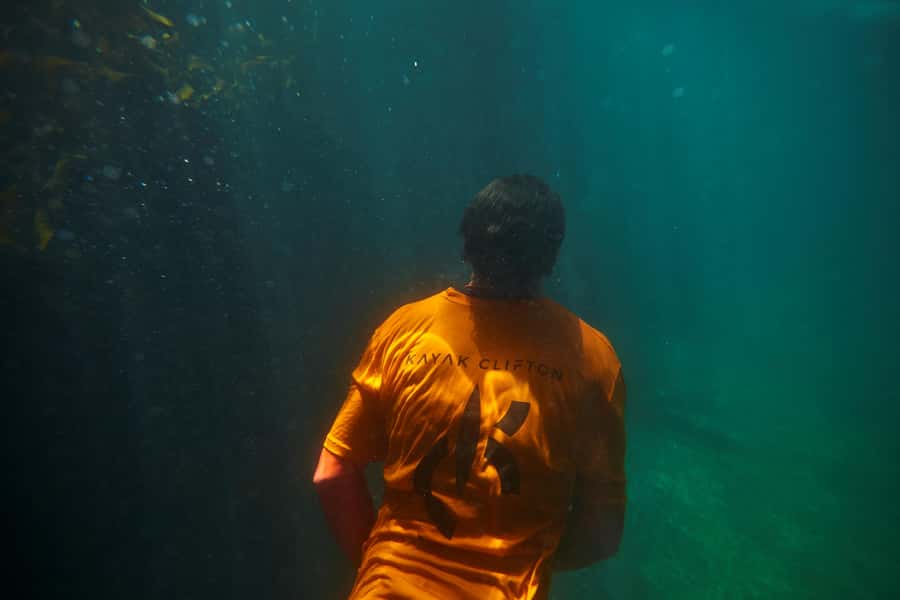 Cape Town: Guided Kayak Tour of Clifton Beaches & The Coast - Looking for seals near Clifton 4th Beach