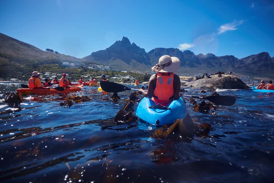 Cape Town: Guided Kayak Tour of Clifton Beaches & The Coast - Kelp forests and rock pools at Maiden’s Cove