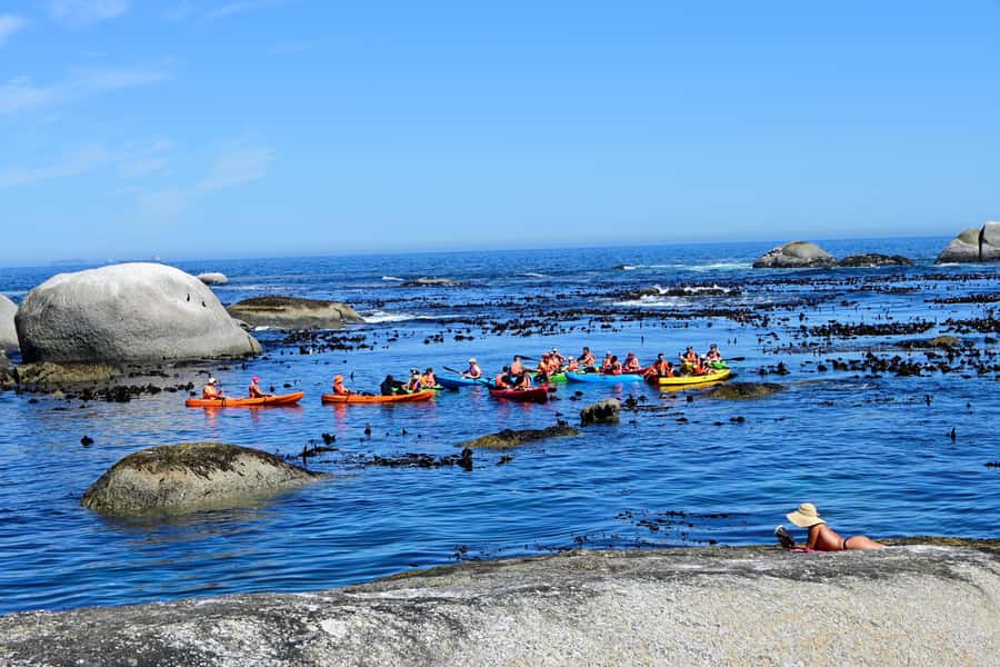 Cape Town: Guided Kayak Tour of Clifton Beaches & The Coast - How much value do you get for $49?