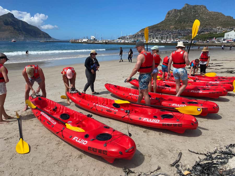 Cape Town: Guided Kayak Tour - Launching from Hout Bay beach