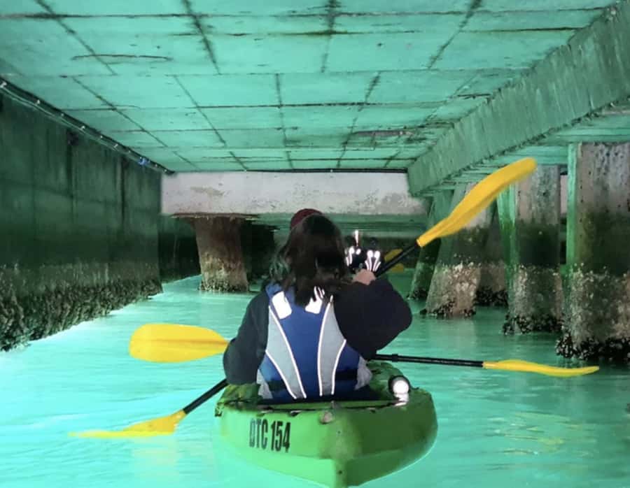 Cape Town: Guided Kayaking in Hout Bay - Key points to know before you paddle