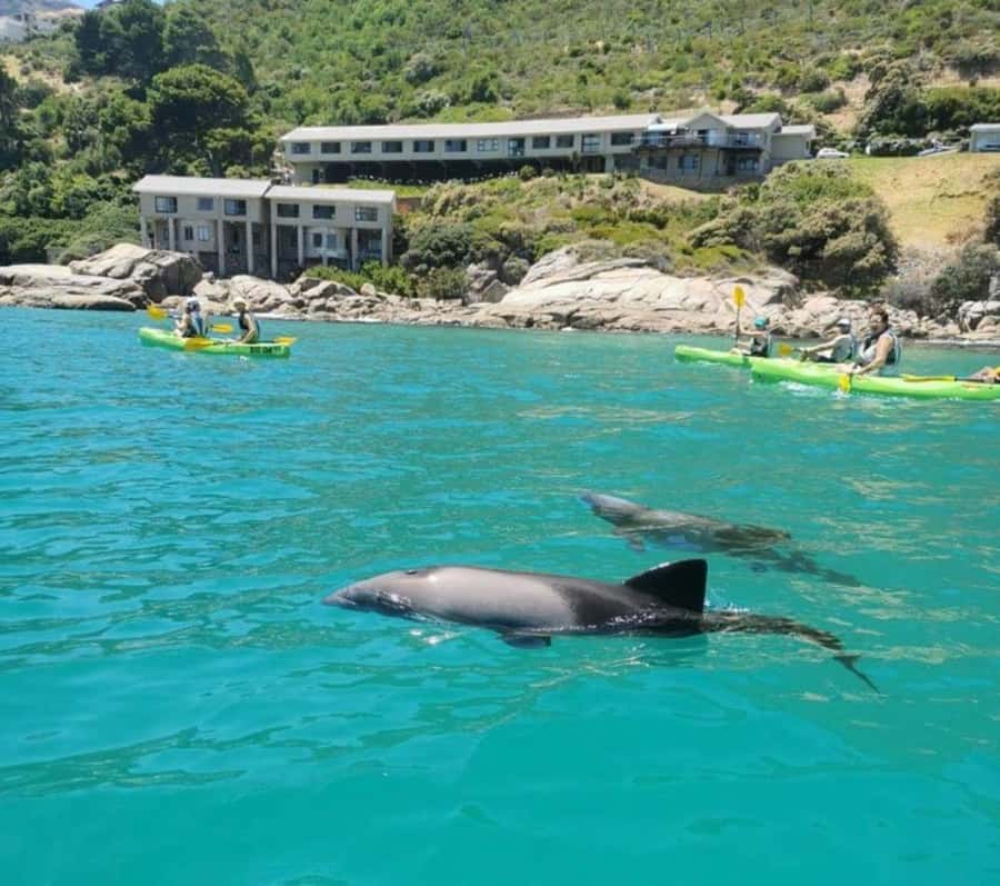 Cape Town: Guided Kayaking in Hout Bay - Getting fitted, briefed, and ready to launch