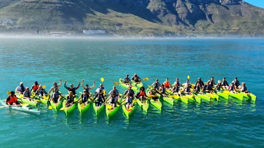 Cape Town: Guided Kayaking in Hout Bay - The first paddle: harbour views and Chapman’s Peak