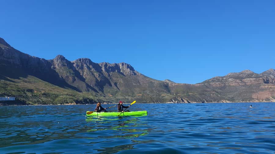 Cape Town: Guided Kayaking in Hout Bay - What the $37 price really includes