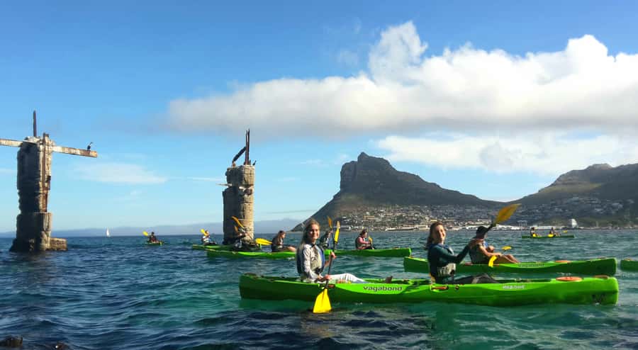 Cape Town: Guided Kayaking in Hout Bay - Strengths and limitations in plain terms