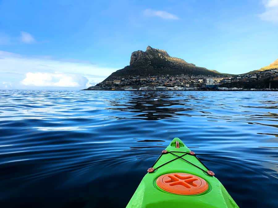 Cape Town: Guided Kayaking in Hout Bay - Meeting at Hout Bay Harbour