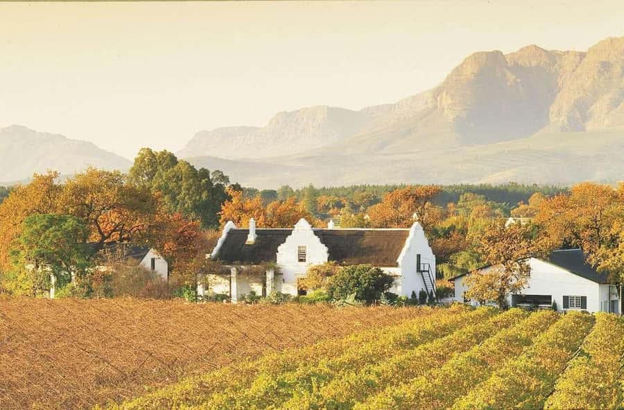 Cape Town: Guided Winelands Tour & Tasting in Stellenbosch - Who should book this tour