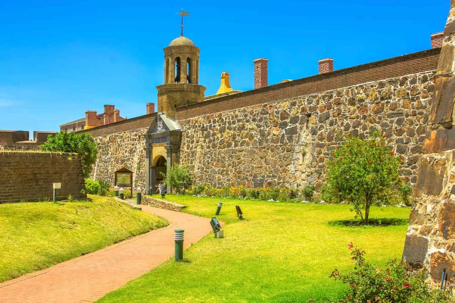 Cape Town: Half-Day Guided City Sightseeing Tour by Bus - Iziko South African Museum and Company’s Gardens