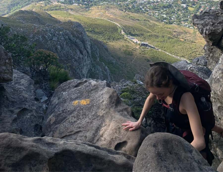 Cape Town: Half-Day India Venster Hike on Table Mountain - Is $112 good value?