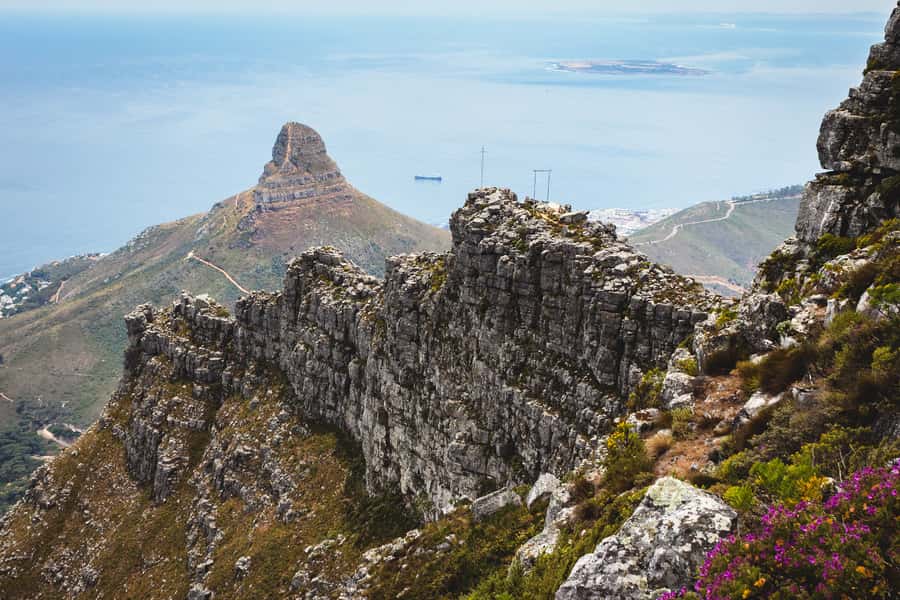 Cape Town: Half-Day India Venster Hike on Table Mountain - The short scramble sections
