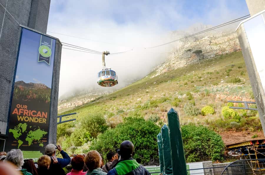 Cape Town: Half Day Table Mountain and Cape Town City Tour - Why this half-day tour works well in Cape Town