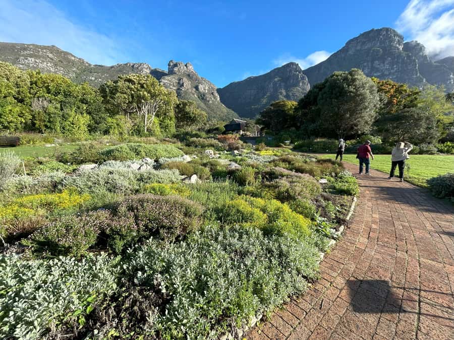 Cape Town: Half Day Table Mountain & Kirstenbosch Gardens - What a good guide adds