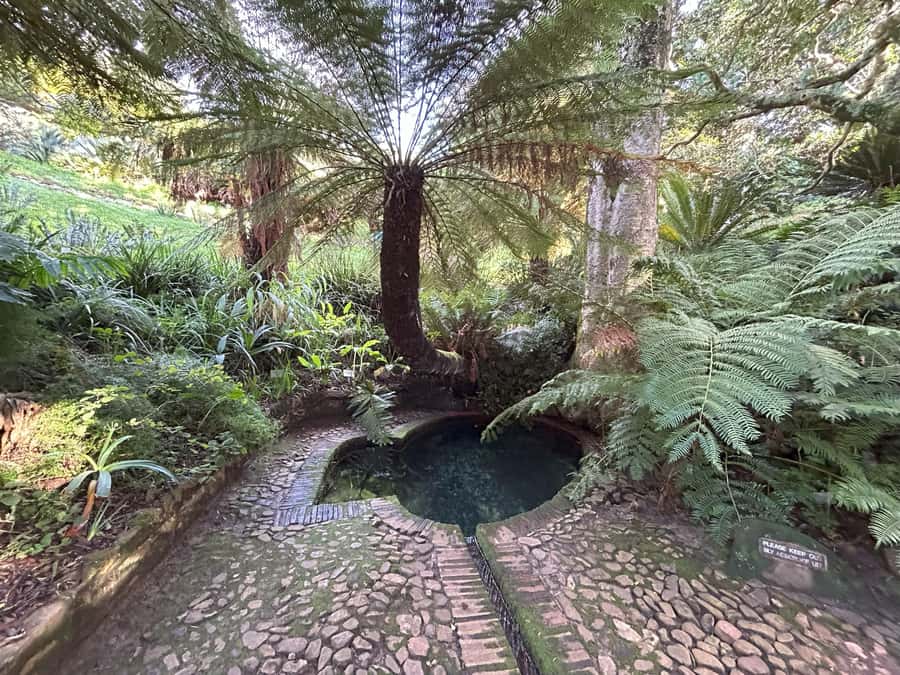 Cape Town: Half Day Table Mountain & Kirstenbosch Gardens - Who should book this morning tour?
