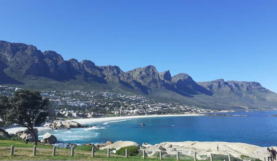 Cape Town: Halfday African Penguin tour - Maiden’s Cove and the Clifton coast
