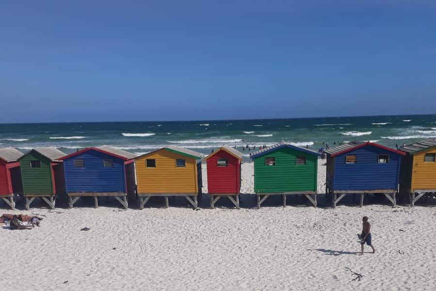 Cape Town: Halfday African Penguin tour - Transport, group size, and daily comfort