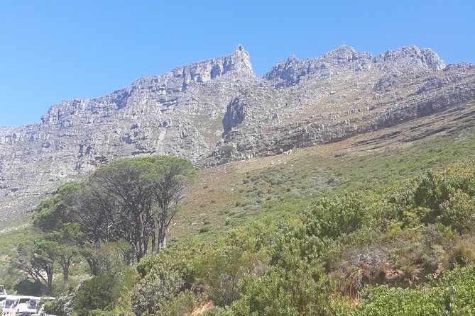 Cape Town Halfday City and Table Mountain Tour - Bo-Kaap adds color, culture, and difficult questions