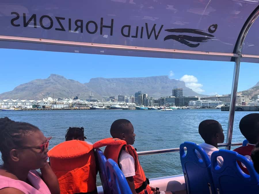 Cape Town: Harbor Cruise - Table Mountain Views from the Harbor