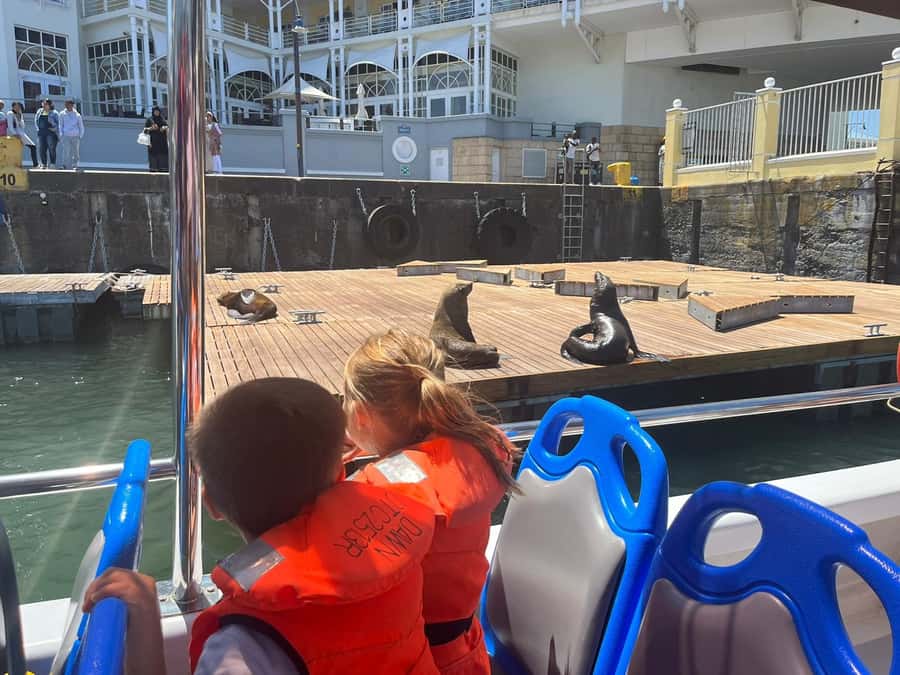Cape Town: Harbor Cruise - What the 30-Minute Route Feels Like