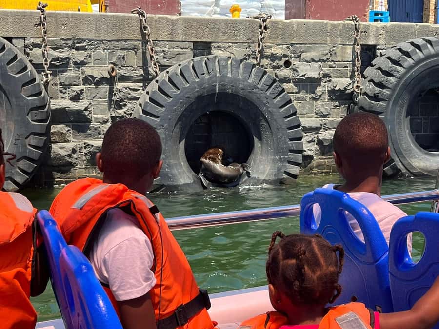 Cape Town: Harbor Cruise - Who Will Enjoy Dawn Most?