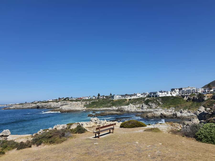 Cape Town: Hermanus Whale Watching Shared Boat & Penguins - Arriving at New Harbour in Hermanus