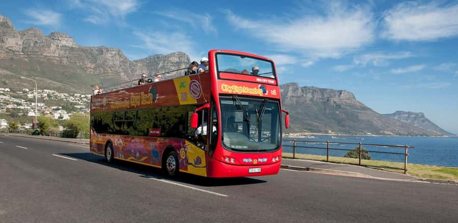 Cape Town: Hop-On Hop-Off Bus Tour with Optional Cruise - How to plan one day or two