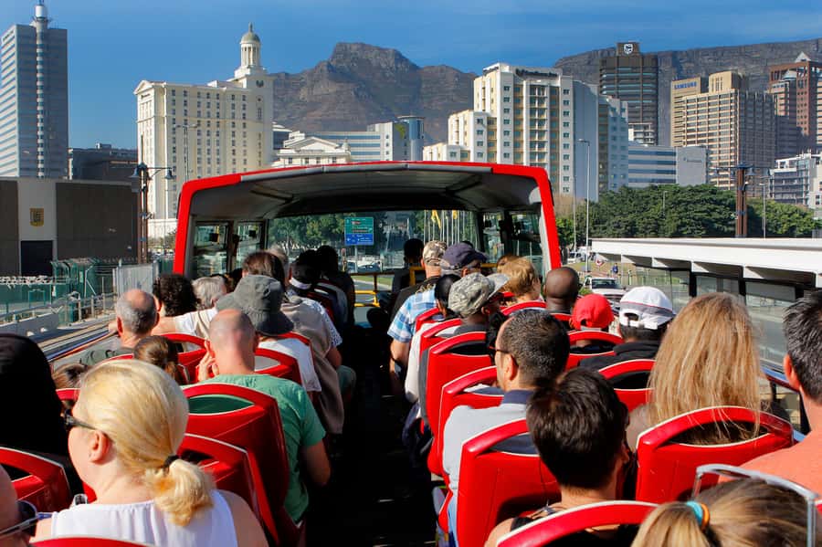 Cape Town: Hop-On Hop-Off Bus Tour with Optional Cruise - Blue route: mountains, beaches, and Kirstenbosch