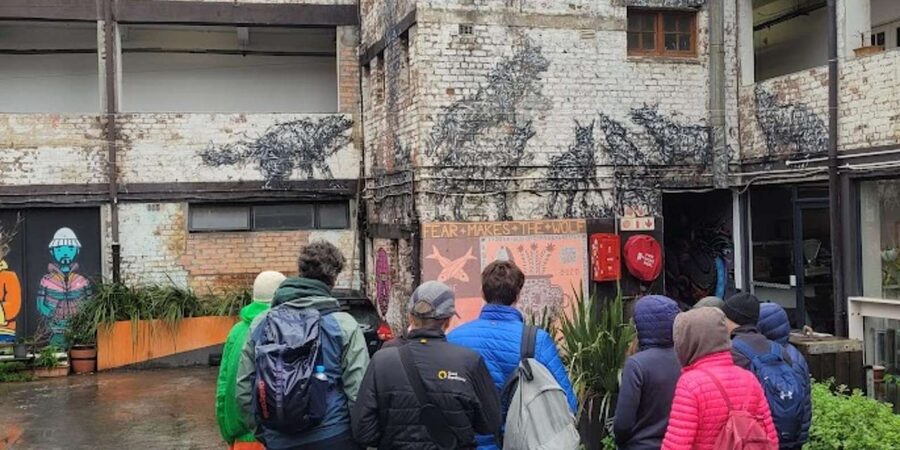 Cape Town: Inspiring sustainable change through Street Art - Should you book the Woodstock and Salt River art walk?