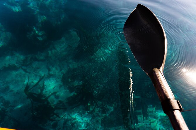 Cape Town Kayak Adventure in Table Mountain Marine Reserve - Starting at Three Anchor Bay