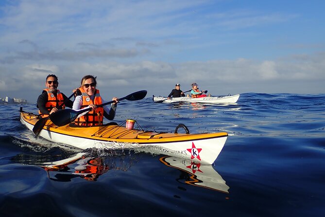Cape Town Kayak Adventure in Table Mountain Marine Reserve - The briefing and first strokes