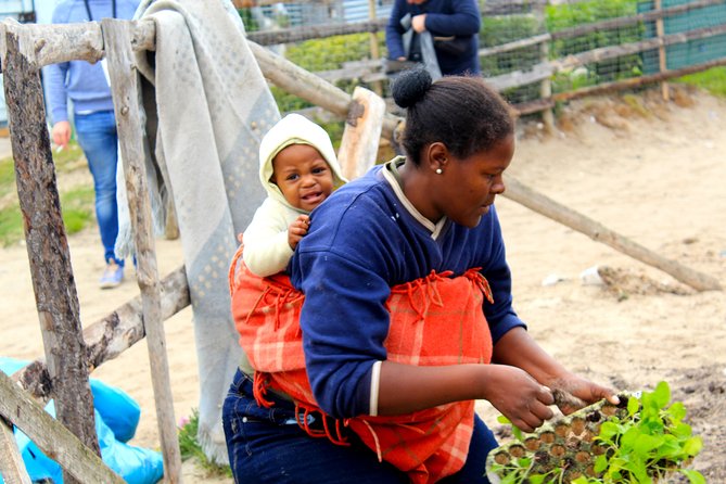 Cape Town Khayelitsha Township Tour - The optional garden or mural project