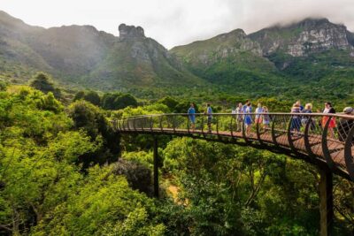 Kirstenbosch Botanical Garden Entry Ticket
