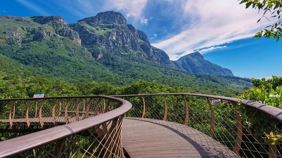 Cape Town: Kirstenbosch Botanical Garden Entry Ticket - Walking the Boomslang Tree Canopy Walkway