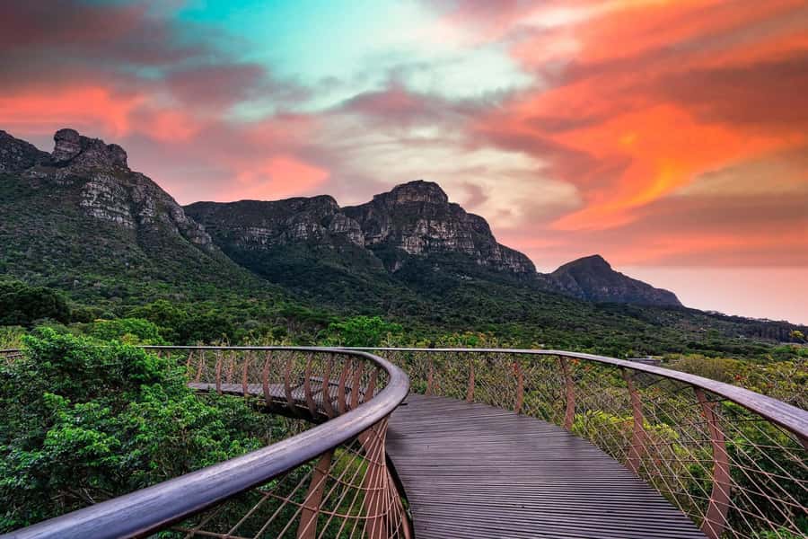 Cape Town: Kirstenbosch Botanical Garden Entry Ticket - How much walking should you expect?