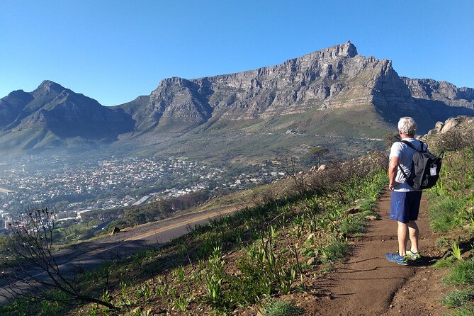 Cape Town: Lion's Head Hike - The guide can make the difference