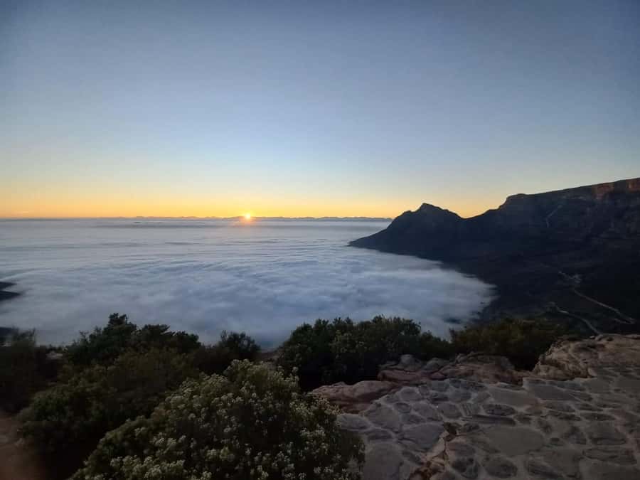 Cape Town: Lion's Head Sunrise Hike - Coming down is part of the workout