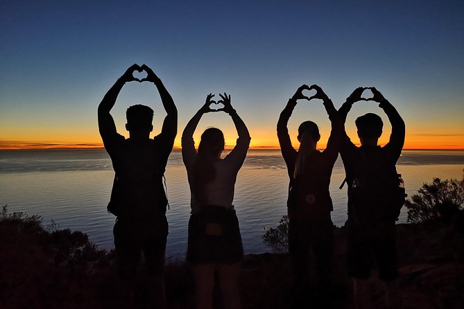 Cape Town: Lion's Head Sunset Hike - The descent and return to the city