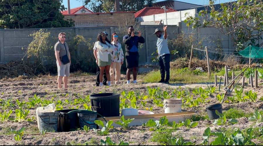 Cape Town: Local street food tour - Final verdict: book it for the stories, not just the snacks