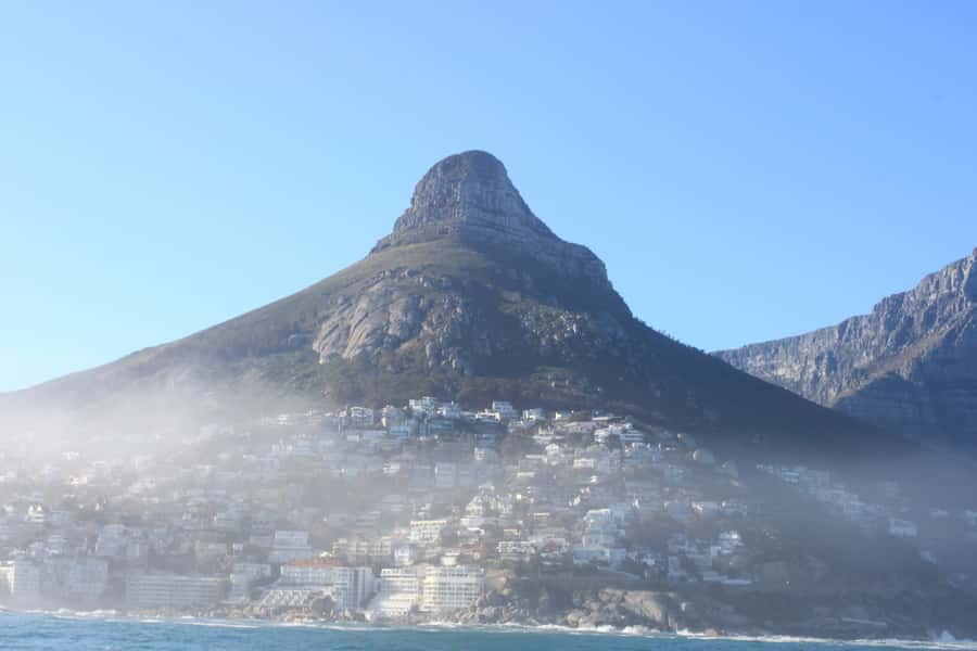 Cape Town: Marine Big 5 Ocean Safari from V&A Waterfront - What makes this ocean safari worth considering