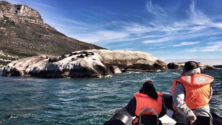 Cape Town: Marine Big 5 Ocean Safari from V&A Waterfront - Crew service and the human side of the trip