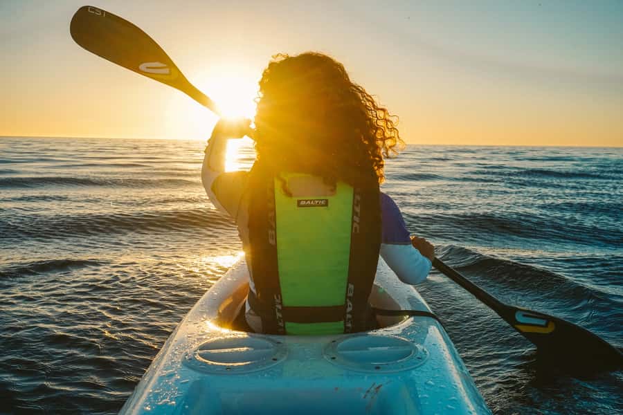 Cape Town: Marine Life Kayak Tour From the V&A Waterfront - Guide quality and the small-group advantage