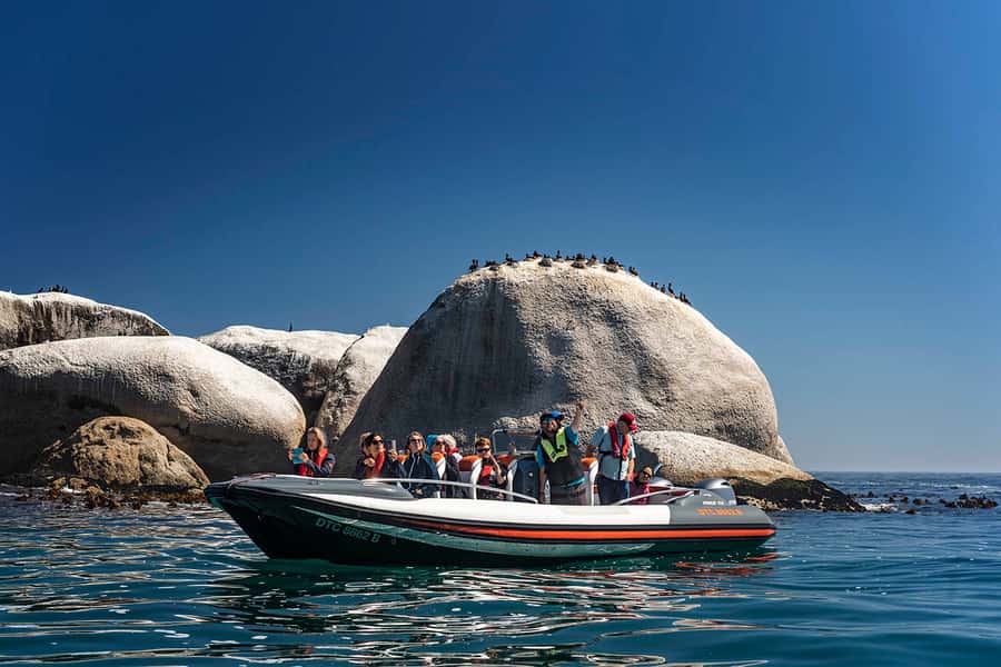 Cape Town: Marine Wildlife Tour from the V&A Waterfront - Quick facts for planning your boat trip