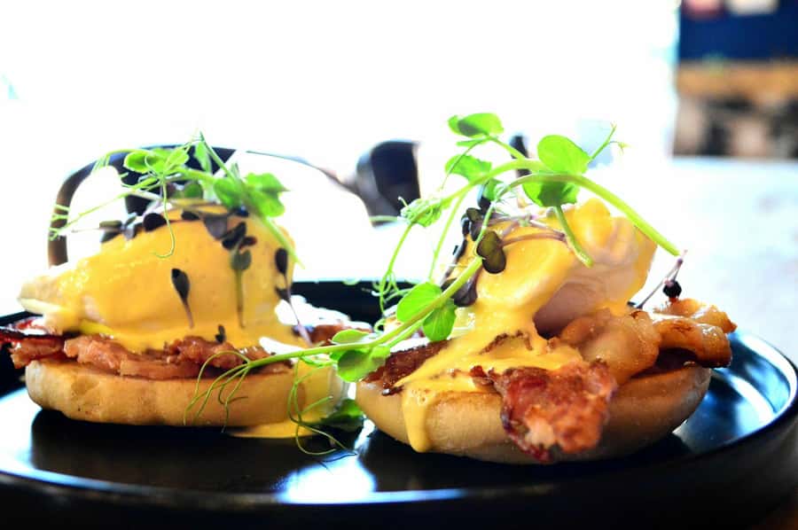 Cape Town: Morning Prosecco Cruise & Mimosa Breakfast - Watching marine life without chasing it