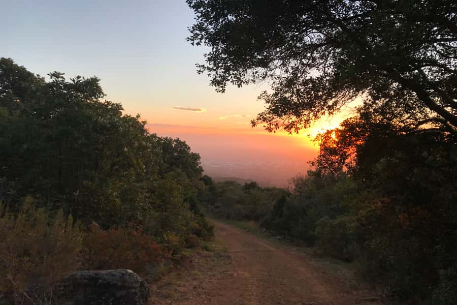 Cape Town: Mountain Biking Trip along Table Mountain - Key points at a glance